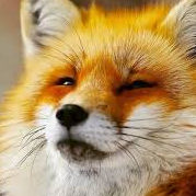 Вера Платонова