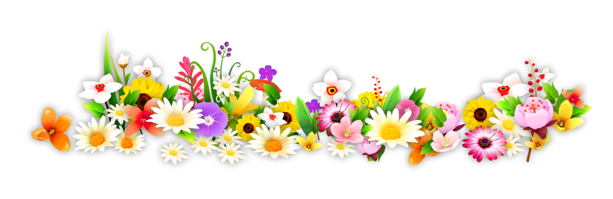 0BhDvsAAAAGSURBVAMABxLvObL0Q+IAAAAASUVORK5CYII=