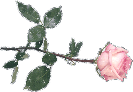 AD_4nXcWlhsEydotPYcOtLP-qM5QVrrd-JlZbCFd92bgndF677uyvkBRqtfKg4stfHCGLJgOo-70Hv-xQHkjZ8ren7Hnlci5cjhcV_iAdpZqXrFMcMZs-bipNbyyocTw7mc2rVxXNp5r6yCWhkJ_QAELSK14v3aT?key=ILd_8r42Vijg7omdxwRR7Q