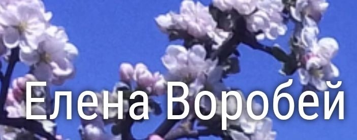 ЕЛЕНА ВОРОБЕЙ
